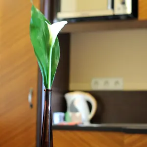 **** Hotel Baron Ungarn